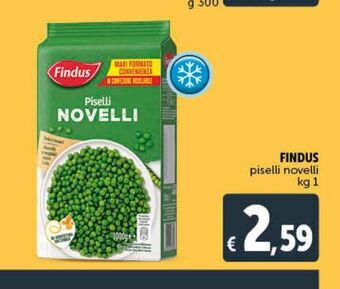 Deco Maxistore Findus piselli novelli offerta