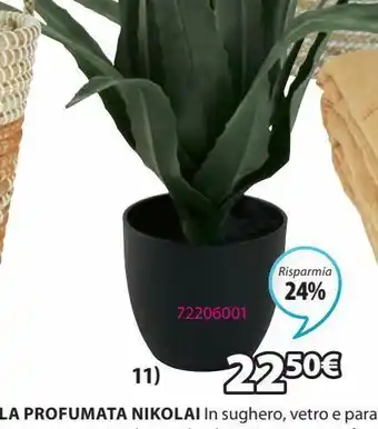 JYSK Piante celius offerta