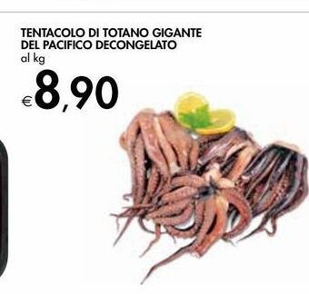 Bennet Tentacolo di totano gigante del pacifico decongelato offerta