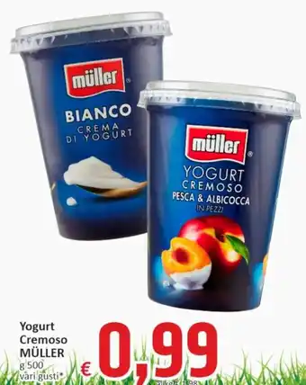 Paghi Poco Müller Yogurt Cremoso g 500 offerta