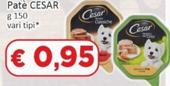 Patè Cesar g 150 vari tipi