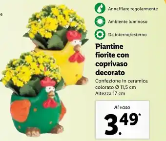 Piantine fiorite con coprivaso decorato