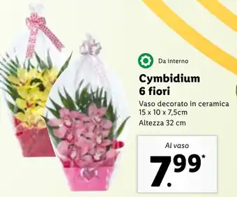 Lidl Da interno Cymbidium 6 fiori offerta
