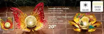 NKD Lampada solare "Farfalla" 34 x 25 x 12 cm/Lampada solare "Fiore di loto" offerta