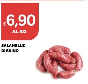 Ekom Salamelle di Suino offerta