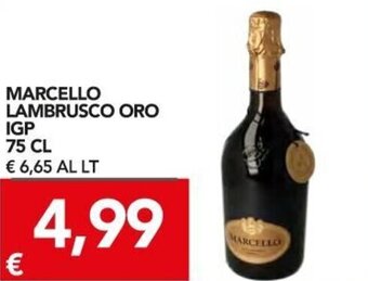 TuoDi Marcello Lambrusco Oro IGP 75 cl offerta