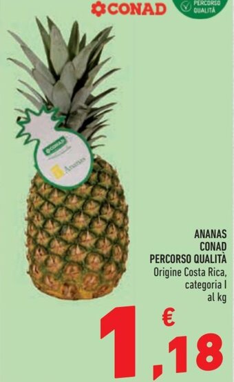 Conad Conad Ananas Percorso Qualità offerta
