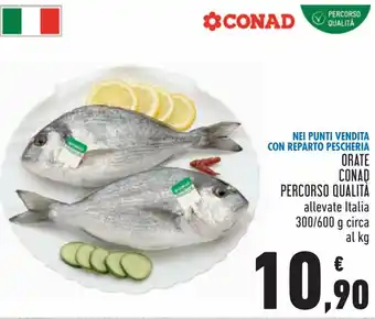 Conad Conad Orate Percorso Qualità 300/600 g offerta