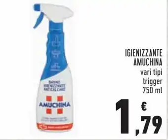 Conad Amuchina Igienizzante 750 ml offerta