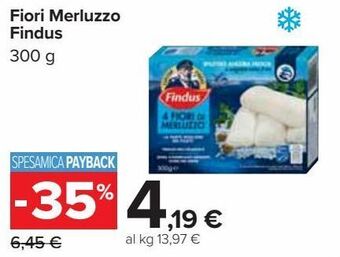 Carrefour Iper Fiori merluzzo findus offerta