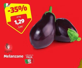 ALDI Melanzane offerta