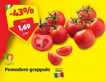 ALDI Pomodoro grappolo offerta