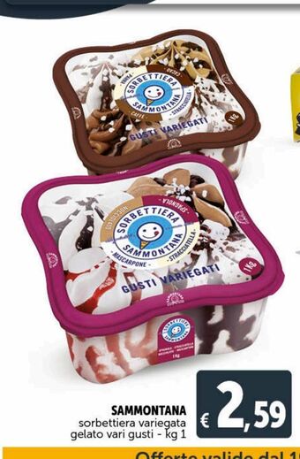 Deco Supermercati Sammontana sorbettiera variegata gelato vari gusti kg 1 offerta