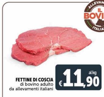 Deco Maxistore Fettine di coscia di bovino adulto offerta