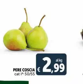Deco Maxistore Pere coscia offerta
