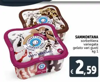 Sammontana sorbettiera variegata gelato vari gusti kg 1