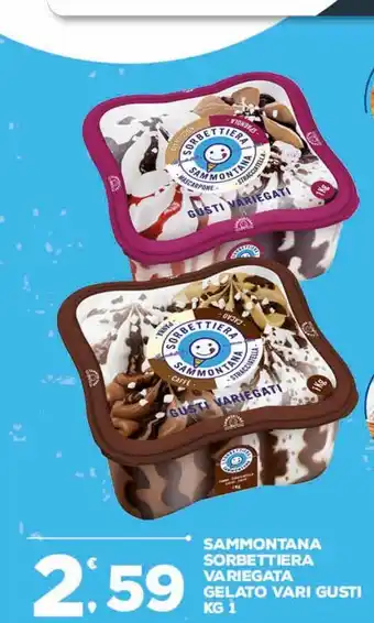 Deco Superfreddo Sammontana sorbetteria variegata gelato vari gusti 1 kg offerta