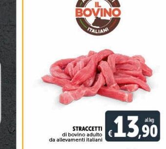 Straccetti di bovino adulto