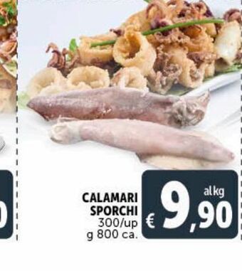 Calamari sporchi