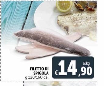 Deco Superstore Filetto di spigola offerta