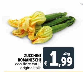 Deco Supermercati Zucchine romanesche offerta
