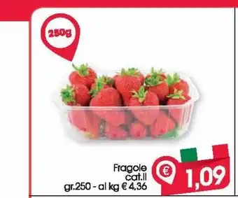 Fragole cat ii gr 250