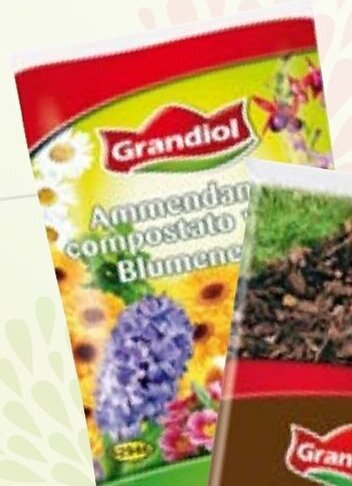 Grandiol Terriccio per piante fiorite, 45 L offerta di Lidl