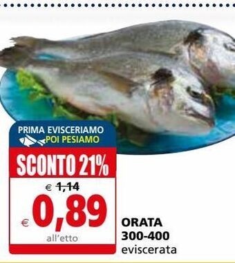Il Gigante Orata offerta