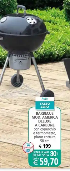 Barbecue mod.america deluxe a carbone