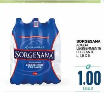 SeBón Supermercati Acqua leggermente frizzante sorgesana l 1.5 x6 offerta