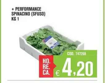 + performance spinacino