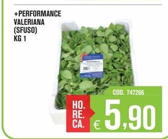 Adhoc + performance valeriana offerta