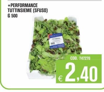 + performance tuttinsieme