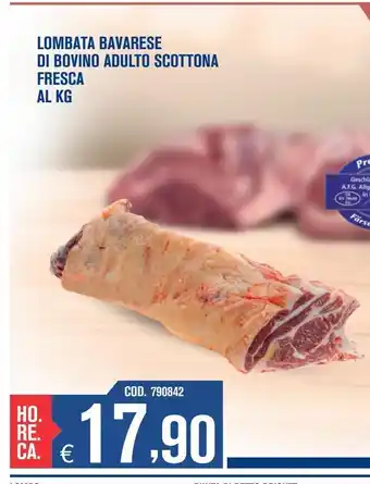 Adhoc Lombata bavarese di bovino adulto scottona fresca offerta