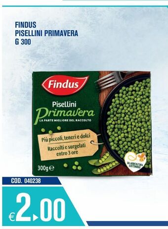 Adhoc Findus pisellini primavera offerta