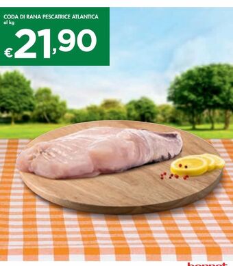 Bennet Coda di rana pescatrice atlantica offerta