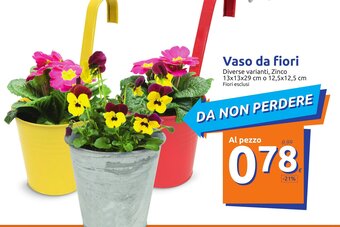 Action Vaso da fiori offerta