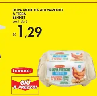 Bennet Uova medie da allevamento a terra bennet offerta