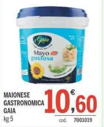 Elefante Cash & Carry Gaia Maionese Gastronomica kg 5 offerta