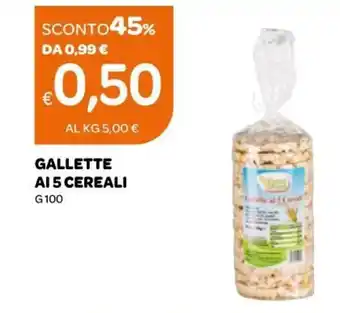 Ekom Gallette Ai 5 Cereali g 100 offerta