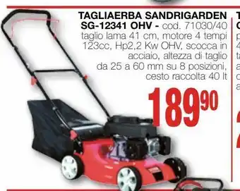 Mondo Brico Tagliaerba sandrigarden sg-12341 ohv offerta