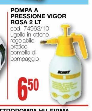 Mondo Brico Pompa a pressione vigor rosa 2 lt offerta