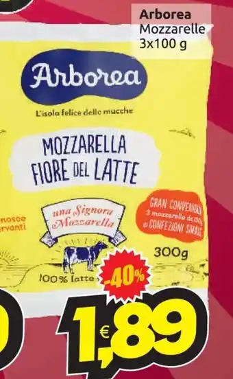 Vicino a te supermercati Arborea Mozzarelle 3 x 100 g offerta