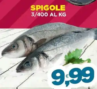Spigole 3/400 al kg