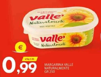 Vivo Supermercati Margarina Valle Naturalmente gr 250 offerta