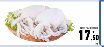 Conad Seppie pulite fresche offerta