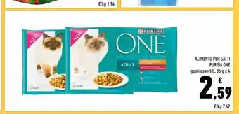 Conad Cibo per gatti purina one offerta