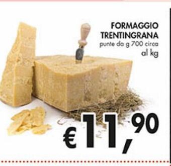Coal City Formaggio trentingrana offerta