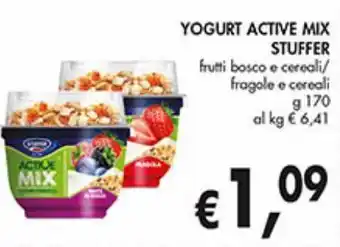 Maxi Coal Yogurt active mix stuffer offerta
