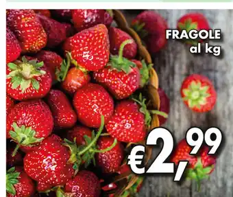 Fragole al kg